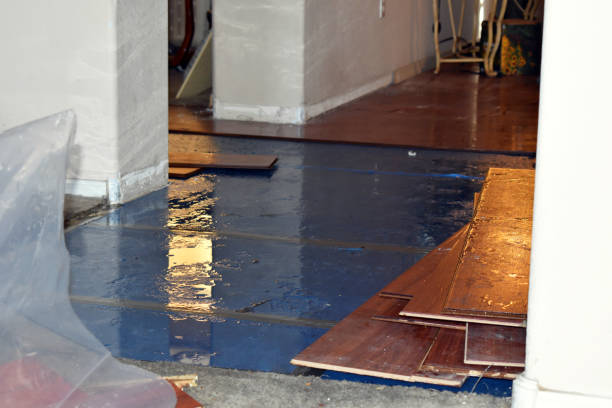Professional Basement Flood Cleanup technician working in Brockton, PA